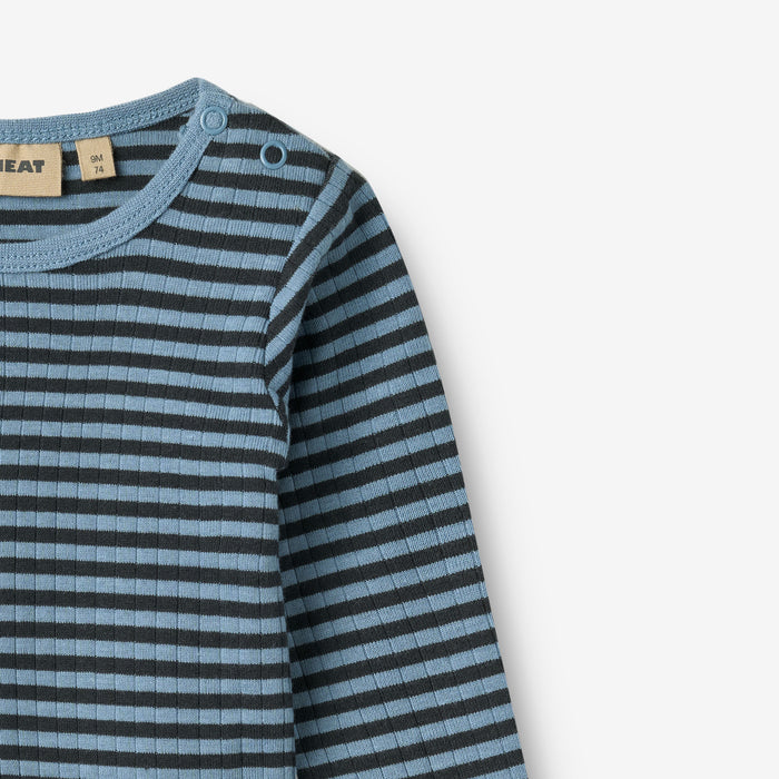 Wheat Main Body L/S Berti Body 9548 bright blue stripe