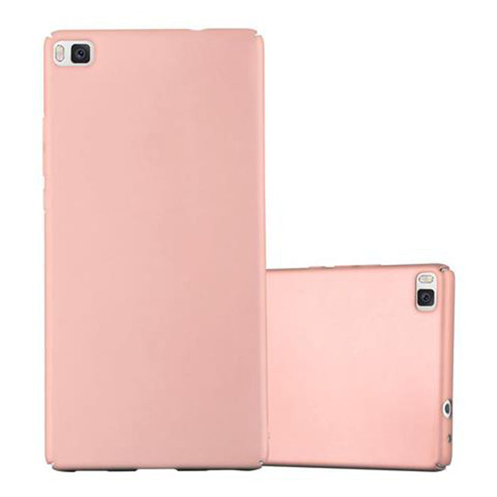 Rosa / P8