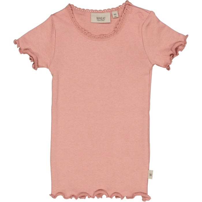 Wheat Main Rib T-Shirt Lace SS Jersey Tops and T-Shirts 2024 rosie