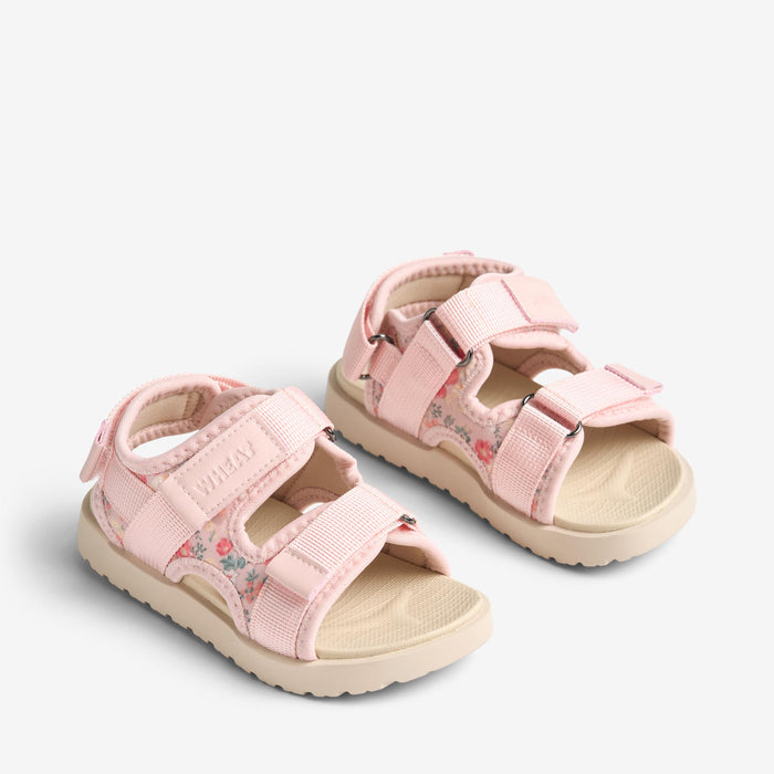 Wheat Footwear Sandal Mandy Sandal 2526 powder flowers and seashells