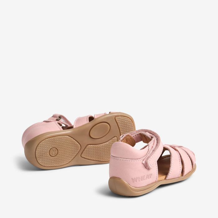 Wheat Footwear Sandal Robbie Prewalker Sandals 2270 misty rose