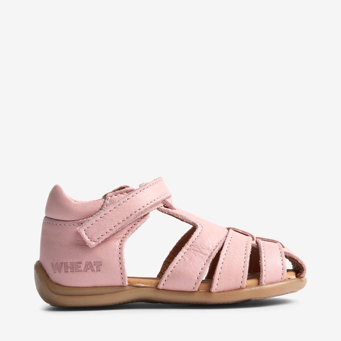 Wheat Footwear Sandal Robbie Prewalker Sandals 2270 misty rose