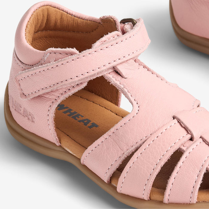 Wheat Footwear Sandal Robbie Prewalker Sandals 2270 misty rose
