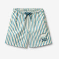 Wheat Main Swim Trunk Hansi badge Shorts 9630 aqua stripe
