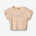 Wheat Main T-Shirt S/S Esther Jersey Tops and T-Shirts 9438 rose water